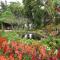 Phu Chaisai Chiang Rai Mountain Resort - Meszalongnaj
