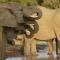 Amani Safari Camp