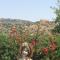 Il Giardino di Athena vista Valle dei Templi