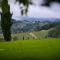 WINE & LAKE IN FRANCIACORTA