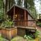 Emerald Forest Cabins - ترينيداد
