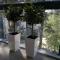 Charming Pine View Apartment