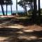 The Barefoot At Havelock