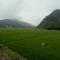 Phong Nha Rice Field Homestay - Phong Nha