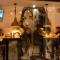 Winederful Hostel & Café