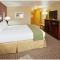 Holiday Inn Express Hotel & Suites Willows, an IHG Hotel - Willows