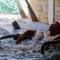 Hotel Termal Los Cardones & Spa