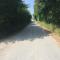 le loup dans la bergerie photo 20