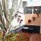 Apartamentos Los Delfines