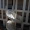Temporesidence Cathedrale photo 8