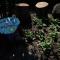 Lemontree House Bacoli