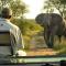 Lukimbi Safari Lodge