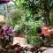 Natural Mystic Sanctuary