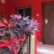 Kingfishers Apartments