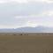 Gobi Mirage Lodge - Dalandzadgad