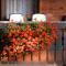 Hotel ADLER Carezza