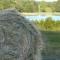 Siedlisko Szwałk