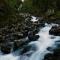 Hardanger Hostel B&B