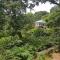 Spice Jungle Resort