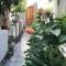 Garden House Piura