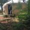 Gingerbread Cottage Yurts - East Dereham