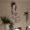 El Portazgo Restaurante Hostal La Cisterniga - 拉·希斯特尼加