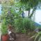 Casa Bunicilor Granny's House - 茹里洛夫卡