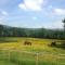 Carrigeen Glamping