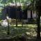 Ecolodge Las Nubes Chiapas