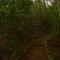 Ecolodge Las Nubes Chiapas