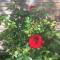 B&B Aux Vieilles Pierres photo 23