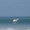 JJ Beach Resort & JJ Seafood - Koh Phayam