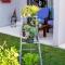 Mirabel Guesthouse