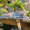 Kondarini Villa - Stunning Sea Views, 290m from the beach, by ZanteWize - Tsilivi