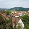 1,5 Zimmer Apartments mit traumhafter Aussicht