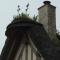 Holiday home Le clos du phare photo 23
