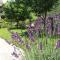 Villa Lavanda Foto: Villa Lavanda