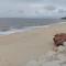 Atlantic Beach-side Apartment