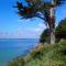 appartement vue mer - Concarneau