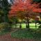 Birches Cottage & the Willows Garden Room
