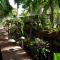 Bukit Raya Guesthouse