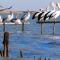 Foto: Pelican Perch Retreat 14/15