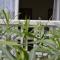 Residence Conero P. T. blocco E