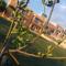 Finiki Plaza
