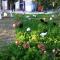 BIO Garden Stonehouse