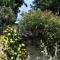 Apartman Svilno