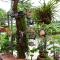 Cat Ba Sweet Potato Homestay Foto: Cat Ba Sweet Potato Homestay