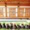 Foto: Nadul Hanok 13/53