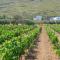 Red Tractor Farm
