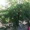 Light, Spacious Apartment in the Heart of Belgrade - 贝尔格莱德